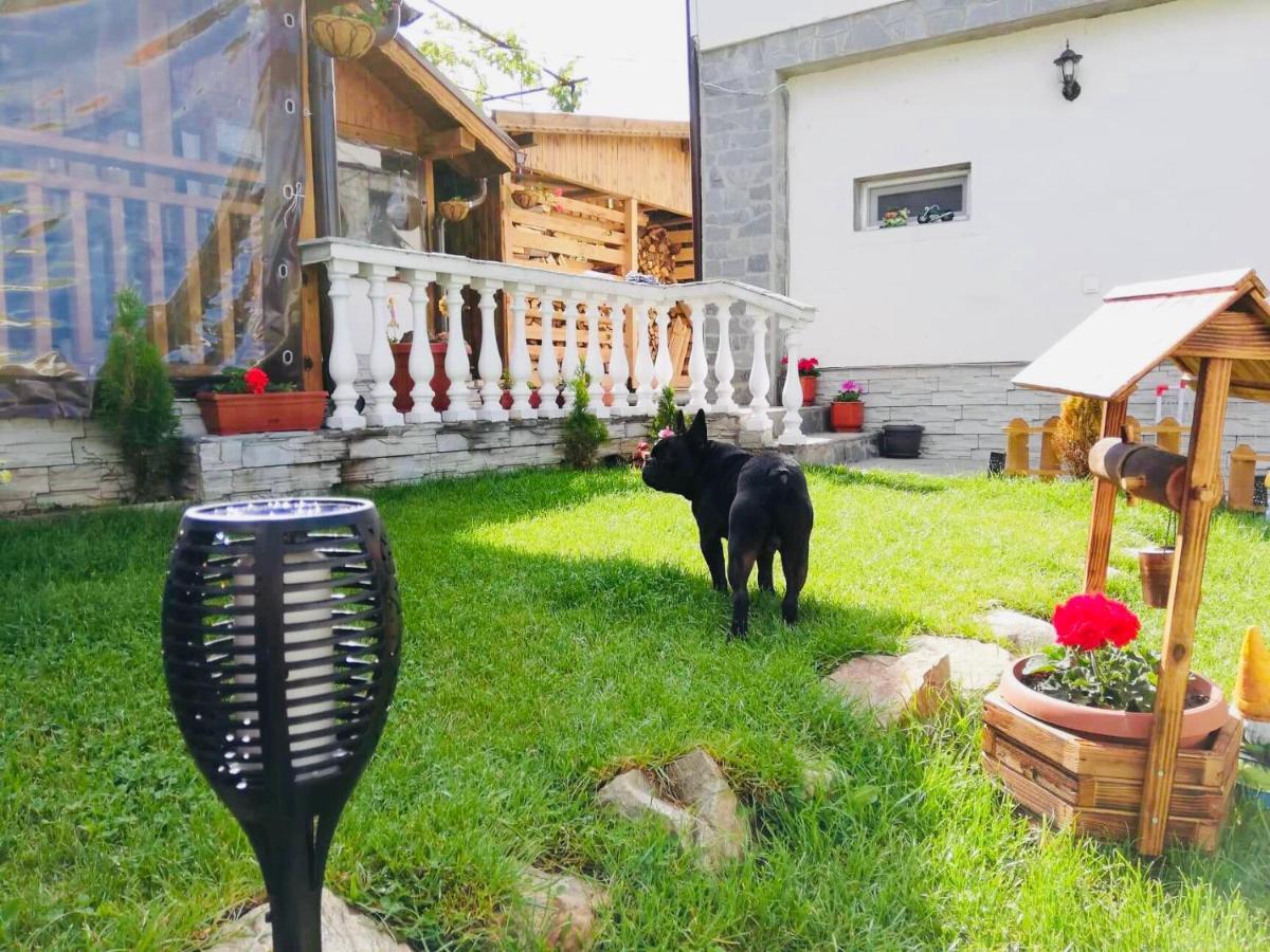 Guest House Grahlyov Sapareva Banya Dış mekan fotoğraf