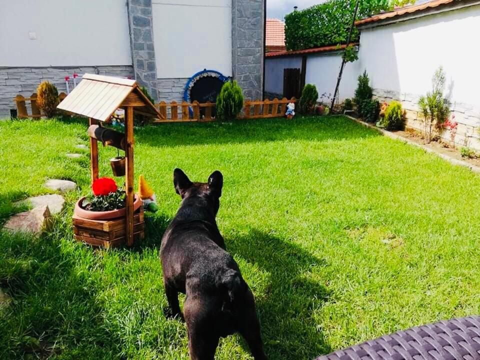 Guest House Grahlyov Sapareva Banya Dış mekan fotoğraf